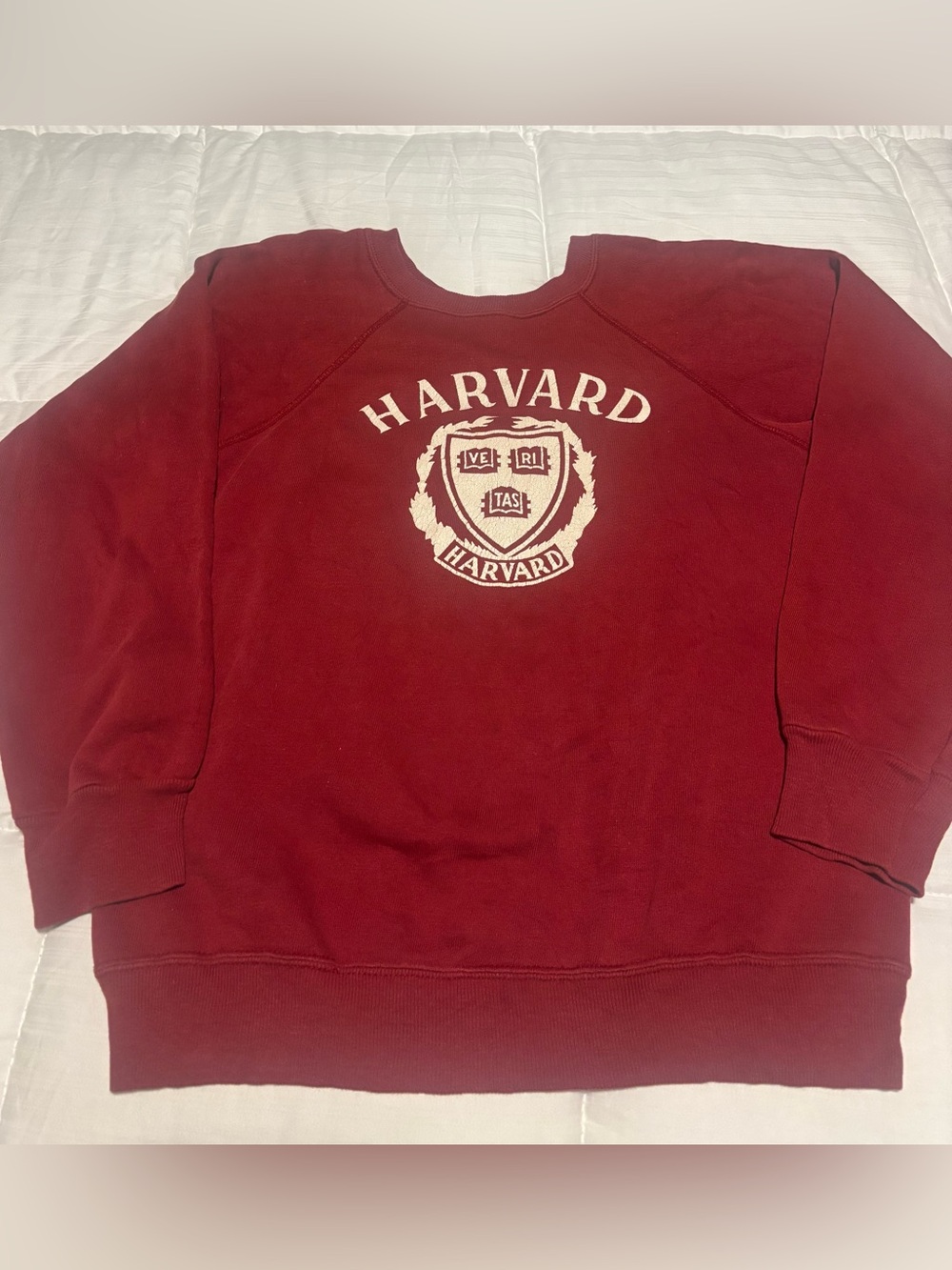 Vintage 80s Champion Harvard University Sweatshirt Size Medium